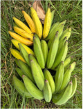 Uganda plantain [Gonja] 8kgs