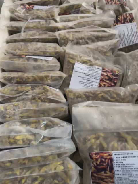 Ugandan grasshoppers[Nsenene]