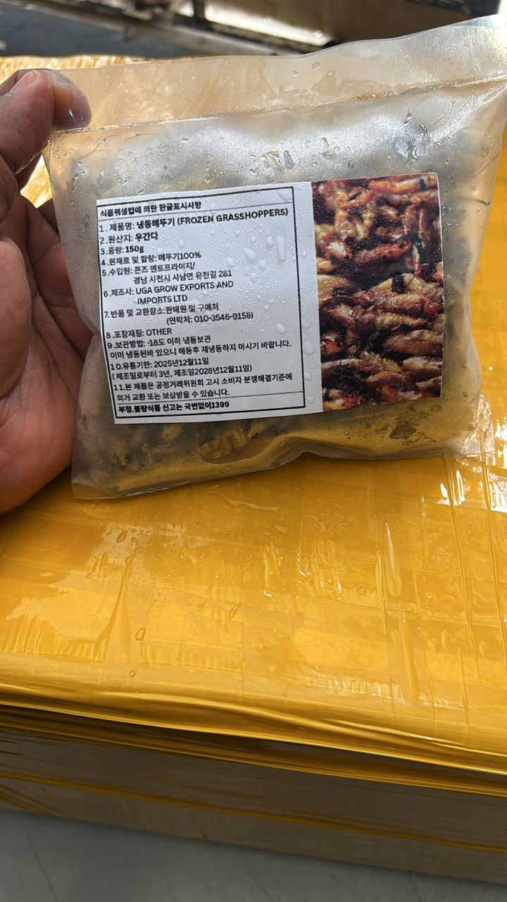 Ugandan grasshoppers[Nsenene]