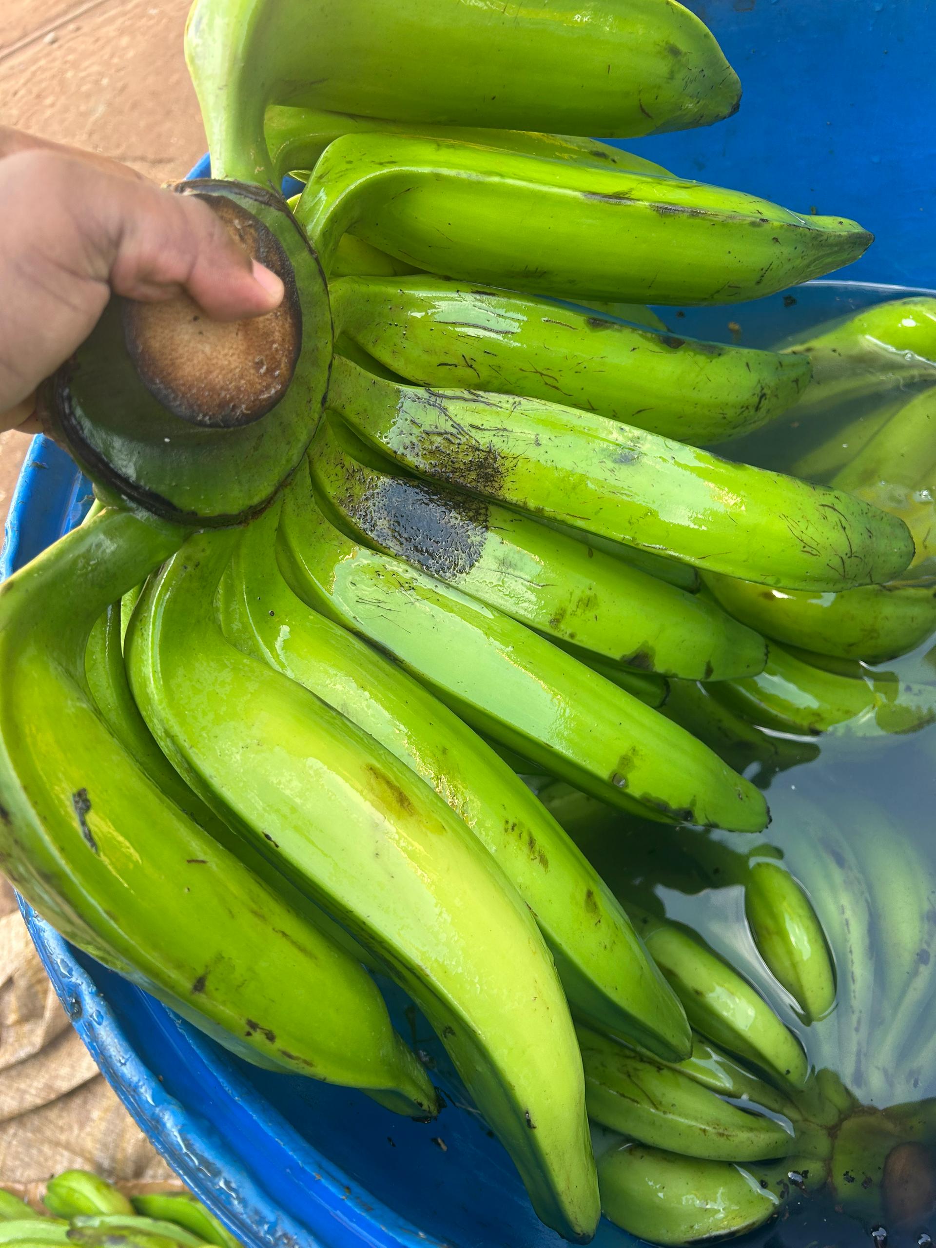 4kgs of Ugandan plantain[Gonja]
