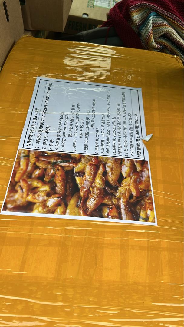 Ugandan grasshoppers[Nsenene]